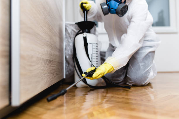 Best Cockroach Control Services  in Rollingwood, CA