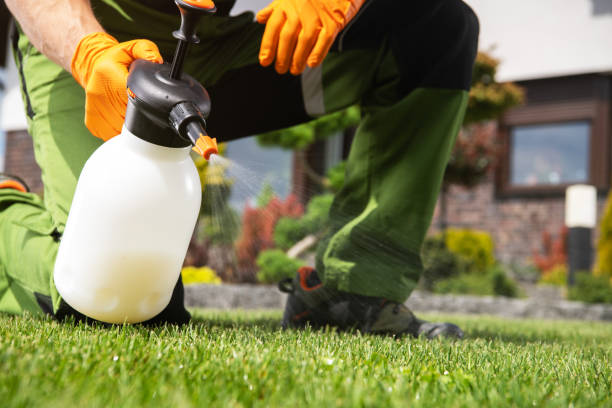 Best Wildlife Control Services  in Rollingwood, CA