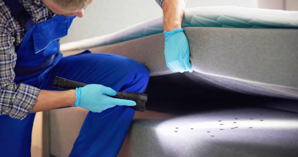Best Pest Inspection Near Me  in Rollingwood, CA