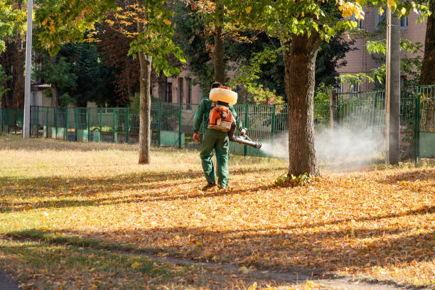 Best Best Pest Control Companies  in Rollingwood, CA