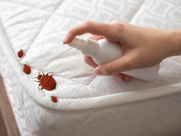 Best Commercial Pest Control Services  in Rollingwood, CA