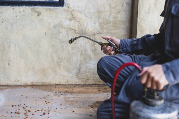 Best Pest Control Near Me  in Rollingwood, CA